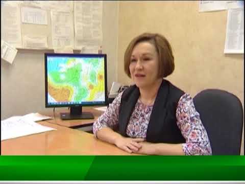 пелымское телевидение видео это одновременно