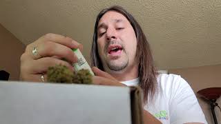 Dan's 420 Chronicles - Fruity Pebble OG / Weed Review 4/16/21