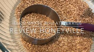 Hard White Wheat Berry Review & Sandwich Bread Making Tip Hard White Wheat Berry Review & Sandwich Bread Making Tip