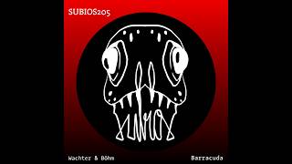 Subios205 Wachter & Böhm - Silver Sun Original Mix