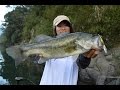 MEGABASS MOVIE #222　厳寒期、ディープレンジ攻略に最適！「SHADING-X DEEP」