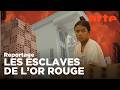 Cambodge : les briques de sang | ARTE Reportage