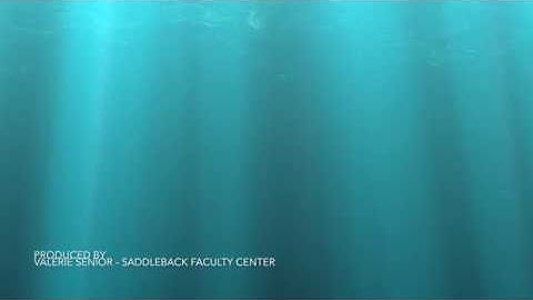 Canvas Quick Tip  - Total Column Options