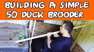 Building a Baby Duck Brooder