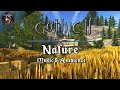 Gothic 2 music  ambience   nature exploration  relaxing