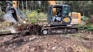 Lot clearing with Case CX160 excavator