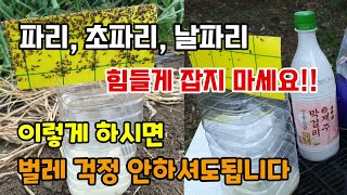 파리,초파리,날파리 힘들게 잡지 말고 이렇게 하시면 벌레 걱정 안하셔도됩니다 날파리초파리트랩 화장실벌레 퇴치방법