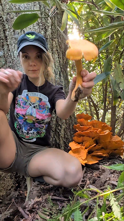 someone should move to North Carolina with me 🍄❤️#mycology #mushrooms #mushroomhunter #fungi #