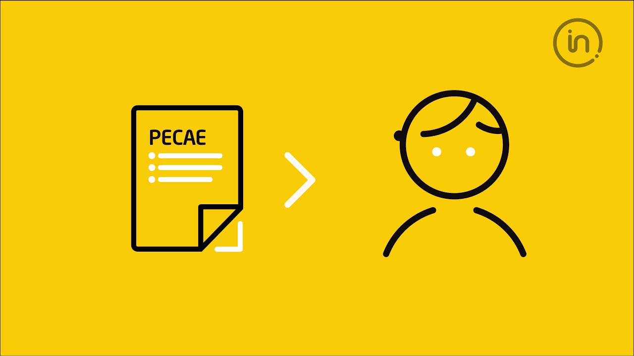 EXPORTING TO CAMEROON? EXPORTER GUIDELINES FOR THE PECAE PROGRAMME