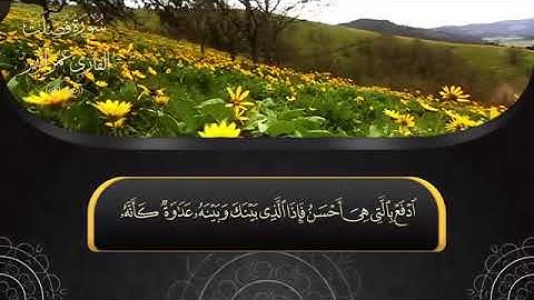 ماتيسر من سورة فصلت تلاوة من الآية 30 إلى الآية 45 l HD l القارئ عمر الزير رحمه الله Trim4