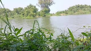 Tranquil River Escape — Relaxing Waterside Retreat for Stress Relief 🪴🪴