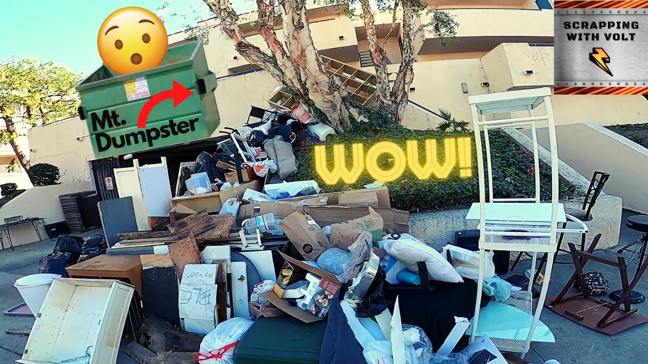Dumpster Diving This Mountain of Trash! S1E8