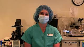 A Day in the Embryology Lab: Egg Fertilization