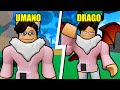 🔴DIVENTO DRAGO V4 Su ROBLOX Blox Fruit in LIVE