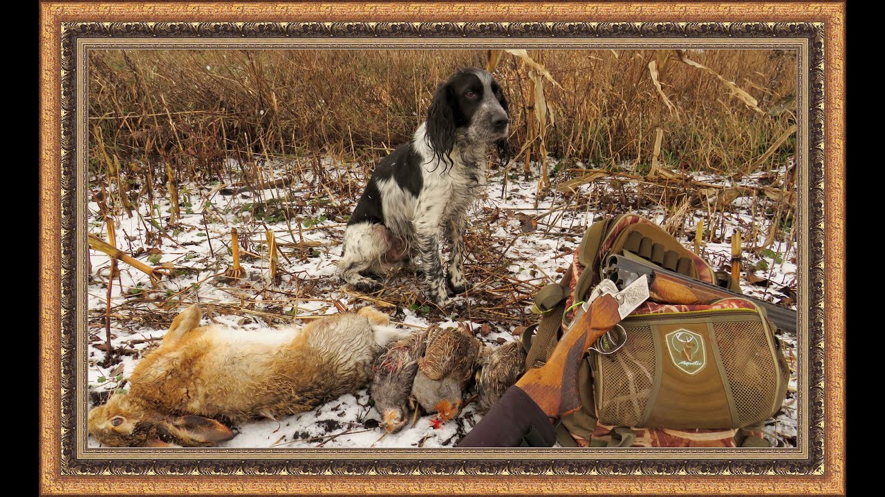 3 в 1!!Охотимся с БРИКОМ на ЗАЙЦЕВ,ЛИС и КУРОПАТОК.