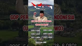 Per capita income of Indonesia (2025-2030)