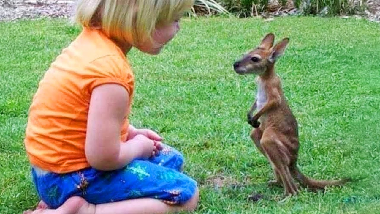 Best Animals Chatting with Little Humans in the Cutest Way 🤪 Funny Animal Videos 2025