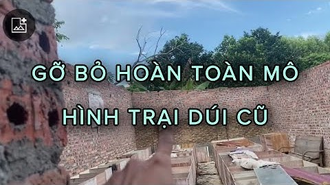 CÁI GIÁ PHẢI TRẢ CHO VIỆC XÂY DỰNG TRẠI DÚI SAI - NÓNG HẤP HƠI GÂY CHẾT TOÀN BỘ DÚI CON MÙA NÓNG