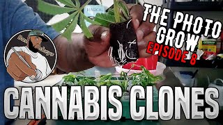 Cloning Cannabis for the First Time @Justintime2grow  Method - The Photo Grow: 4 Strain Grow S1 EP8