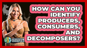 How Can You Identify Producers, Consumers, And Decomposers? - Ecosystem Essentials