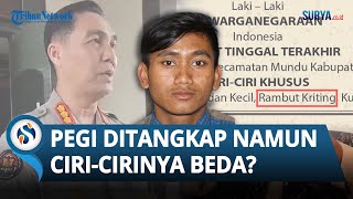 KEJANGGALAN Penangkapan Pegi, DPO Kasus Vina Cirebon, Ciri-cirinya Beda? Rambutnya Disorot