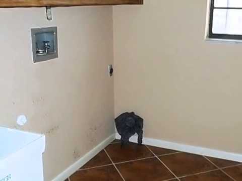 3053 Glenwood Ct, Safety Harbor, FL home video tour