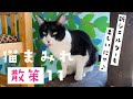 【散策】毎日こんな感じで過ごしてます！１１