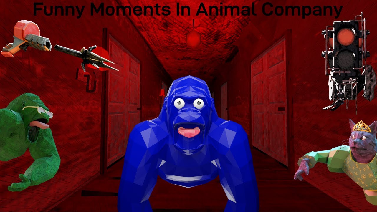 Animal Company Funny Moments! - YouTube