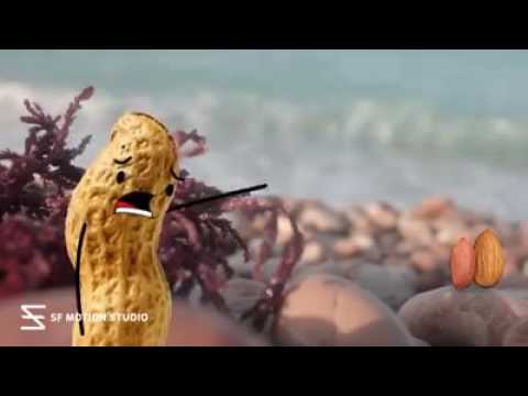 Sudah Ku Tahu Kacang Lupa Kulit Youtube