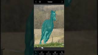 Create Cut out and mix with Multiple Layers with PhotoLeaf Photo Editor iPhone screenshot 2