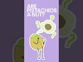 Are Pistachios a Nut