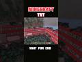 Minecraft tnt zombie spider explosion💥#minecraft Minecraftclips#GamingVibes #MinecraftBlast#ytshorts