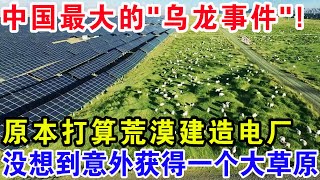 中国最大的“乌龙事件”原本打算荒漠建造电厂没想到意外获得一个大草原