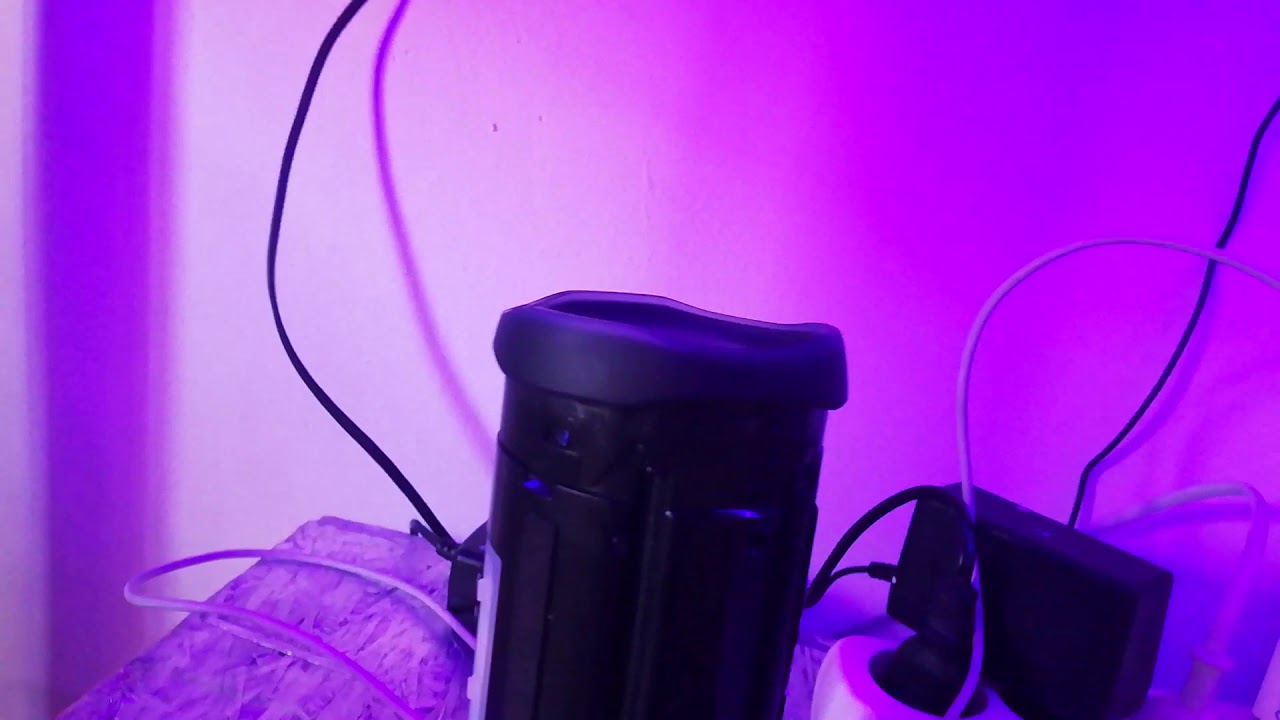 Bass Boosted JBL flip 5 *low frequency mode* YouTube