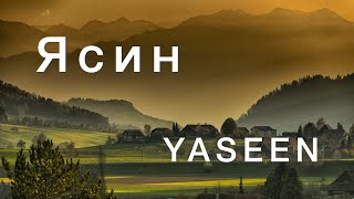 Сура ЯСИН Surah YASEEN Yasin Suresi