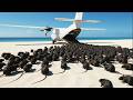 They Left Thousands of Rats on a Deserted Island... 3 Years Later, the Island Looked Like This