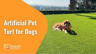 Find the Best Type of Pet Turf for Your Project