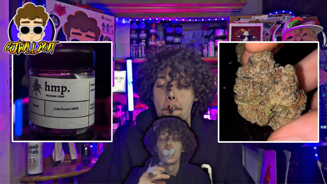 IS HMP PROJECT 4516 A SLAPPER !?