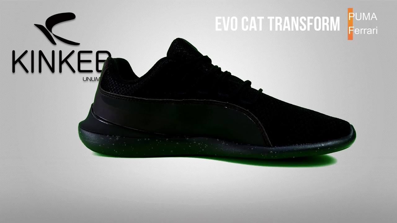 tenis puma evo cat