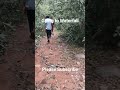 #going to #waterfall #love #nature #trend#viral #ytshorts #naturelovers #trending #shorts #wildlife