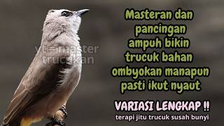 Download lagu Trucukan GACOR ngalas ROPEL PANJANG suara alam AMPUH buat pancingan jadikan trucuk Gacor GARUDA