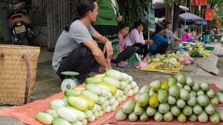Zon collect cucumbers sold out in 5 minutes, Vàng Hoa