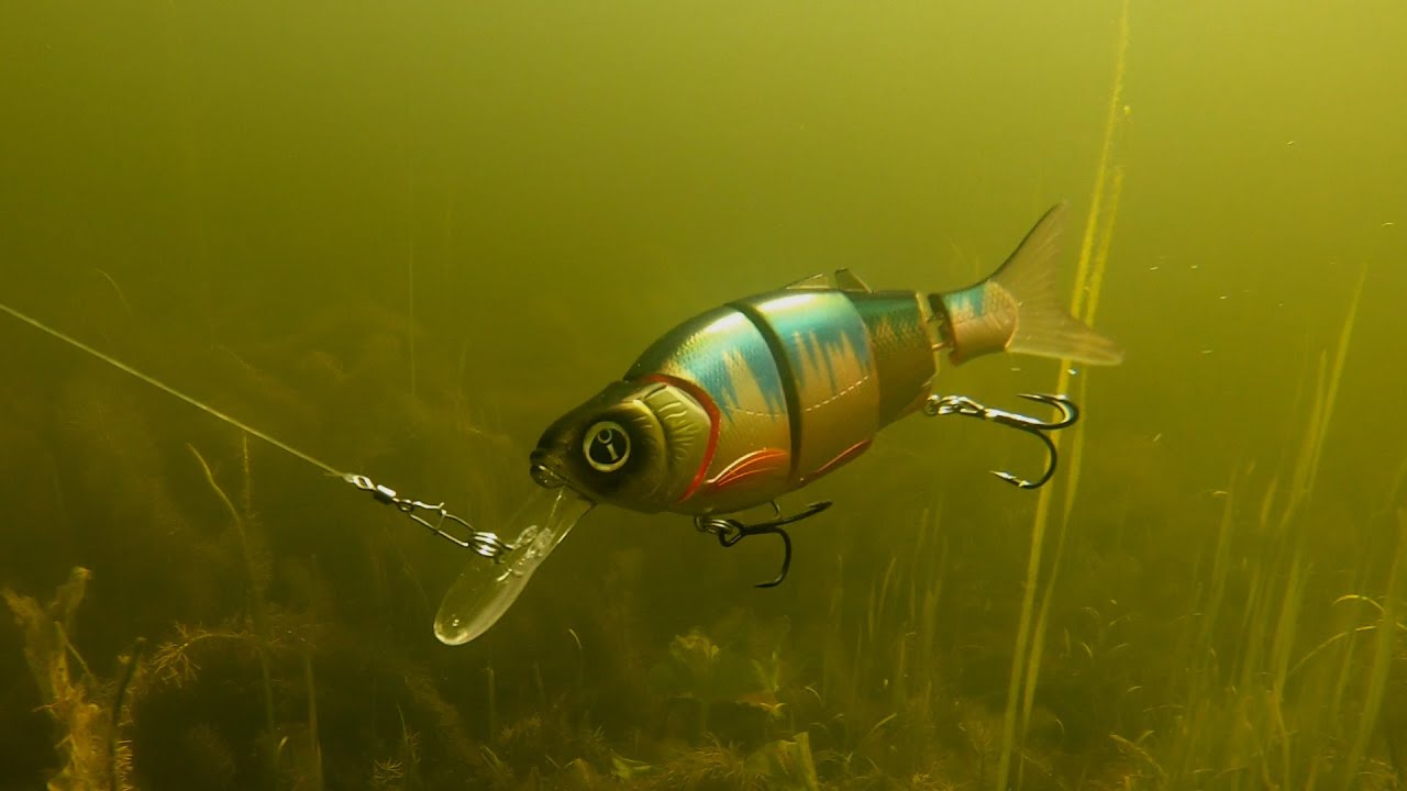 2019: Best fishing lures / Лучшие рыболовные приманки / Beste Angelköder / Mejores señuelos de pesca