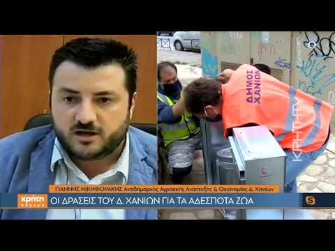 Τοποθετήθηκαν ταΐστρες για τα αδέσποτα στα Χανιά