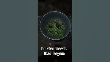 Thumbnail of Belajar masak ikan bayam #remix #music #dj #shots #ikan