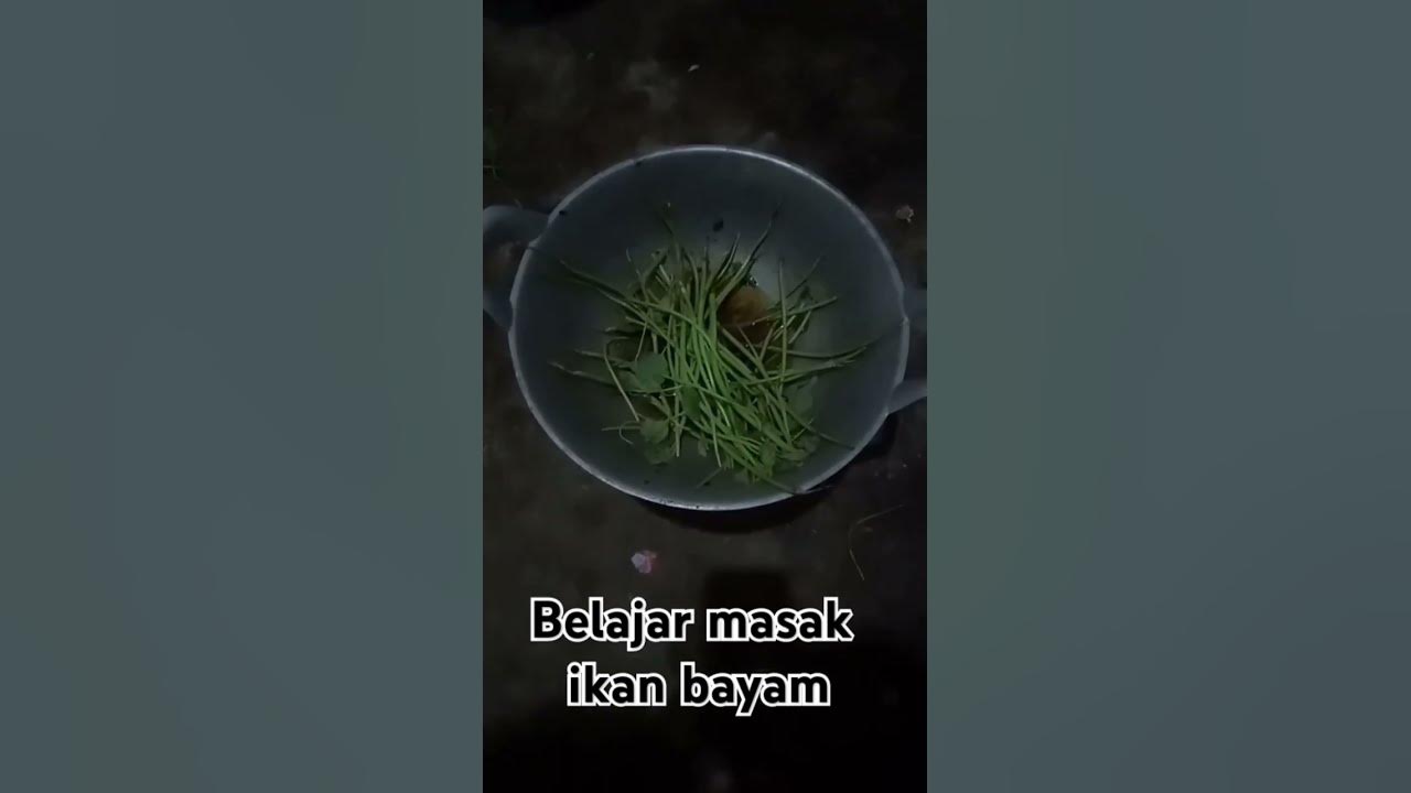 Belajar masak ikan bayam #remix #music #dj #shots #ikan