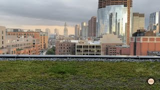 Bedroom View With A Sunset Of Boston Skyline | Calm City Sounds