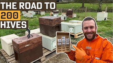 Road to 200 Beehives. Making Nucs To Increase Hive Numbers