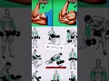 Want bigger arms? Grab your dumbbells! 💥💪 #ArmWorkout #MuscleGain #FitnessShorts