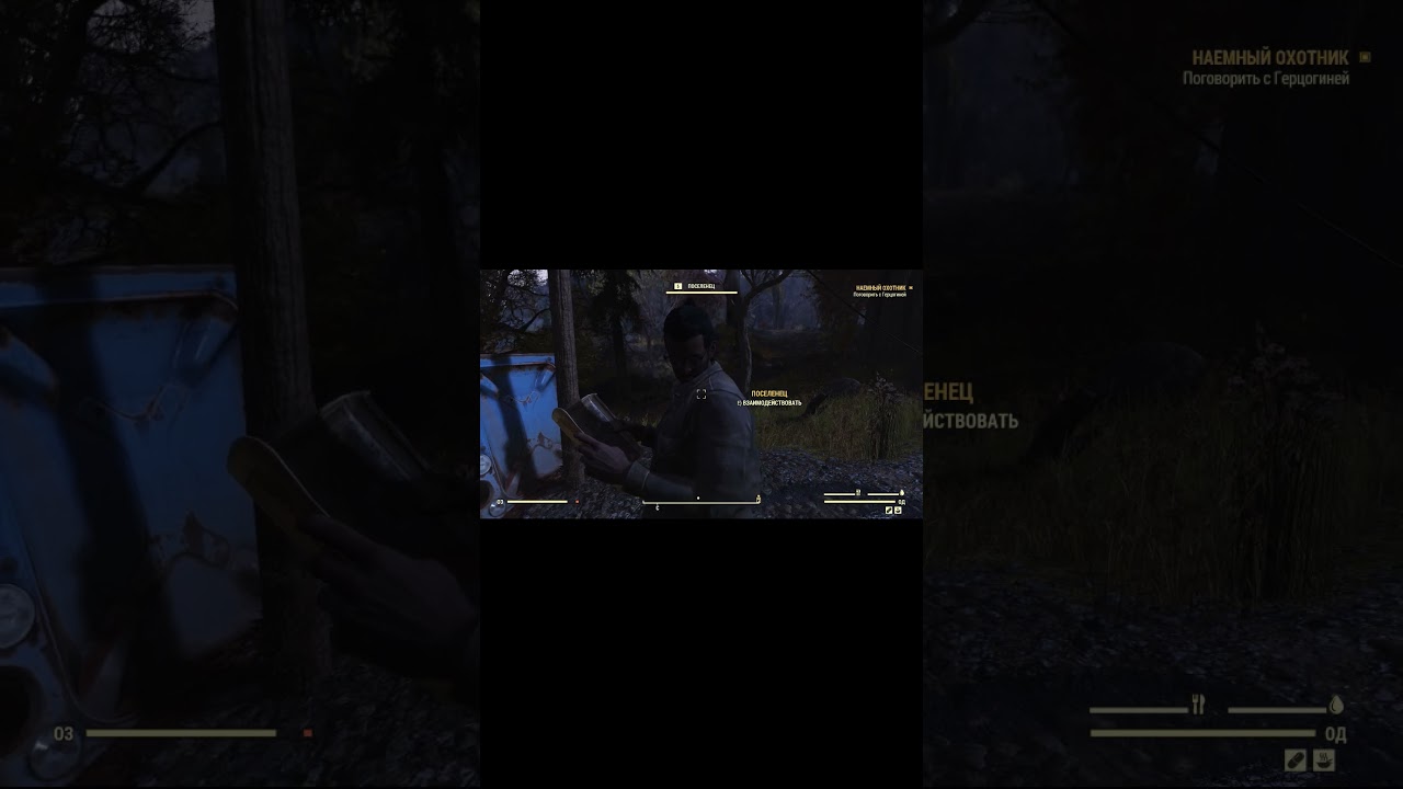 Подсказал дорогу. Fallout 76 